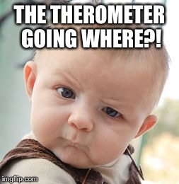 Skeptical Baby Meme | THE THEROMETER GOING WHERE?! | image tagged in memes,skeptical baby | made w/ Imgflip meme maker