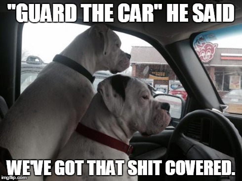 boxer brothers | "GUARD THE CAR" HE SAID WE'VE GOT THAT SHIT COVERED. | image tagged in boxer brothers | made w/ Imgflip meme maker