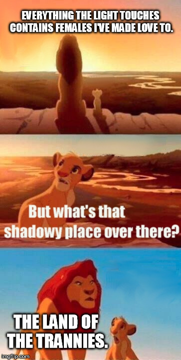 Simba Shadowy Place Meme | EVERYTHING THE LIGHT TOUCHES CONTAINS FEMALES I'VE MADE LOVE TO. THE LAND OF THE TRANNIES. | image tagged in memes,simba shadowy place | made w/ Imgflip meme maker