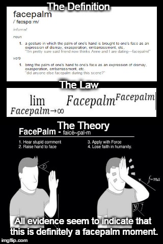 Infinite Facepalm | The Definition The Law The Theory All evidence seem to indicate that this is definitely a facepalm moment. | image tagged in facepalm,funny | made w/ Imgflip meme maker