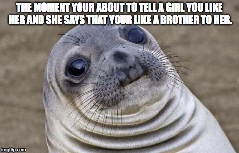 Awkward Moment Sealion | THE MOMENT YOUR ABOUT TO TELL A GIRL YOU LIKE HER AND SHE SAYS THAT YOUR LIKE A BROTHER TO HER. | image tagged in memes,awkward moment sealion | made w/ Imgflip meme maker