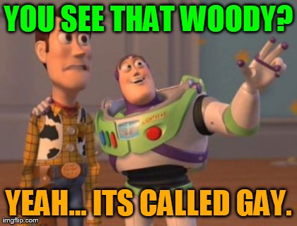 X, X Everywhere Meme | YOU SEE THAT WOODY? YEAH... ITS CALLED GAY. | image tagged in memes,x x everywhere | made w/ Imgflip meme maker