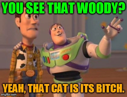 X, X Everywhere Meme | YOU SEE THAT WOODY? YEAH, THAT CAT IS ITS B**CH. | image tagged in memes,x x everywhere | made w/ Imgflip meme maker