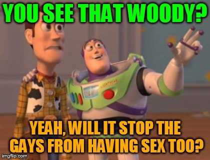 X, X Everywhere Meme | YOU SEE THAT WOODY? YEAH, WILL IT STOP THE GAYS FROM HAVING SEX TOO? | image tagged in memes,x x everywhere | made w/ Imgflip meme maker