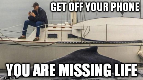 GET OFF YOUR PHONE YOU ARE MISSING LIFE | image tagged in technology | made w/ Imgflip meme maker