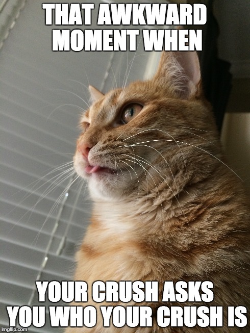 That Awkard Moment | THAT AWKWARD MOMENT WHEN YOUR CRUSH ASKS YOU WHO YOUR CRUSH IS | image tagged in meme,awkwardmoments,cats,tongueoutselfie,tabby | made w/ Imgflip meme maker