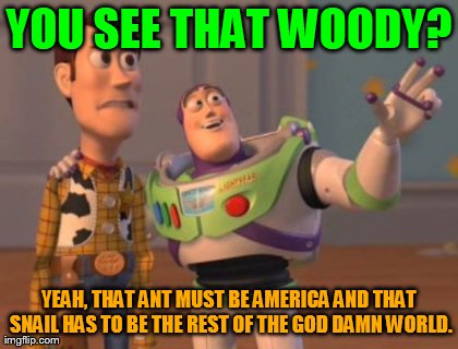 X, X Everywhere Meme | YOU SEE THAT WOODY? YEAH, THAT ANT MUST BE AMERICA AND THAT SNAIL HAS TO BE THE REST OF THE GO***AMN WORLD. | image tagged in memes,x x everywhere | made w/ Imgflip meme maker