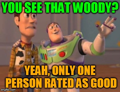 X, X Everywhere Meme | YOU SEE THAT WOODY? YEAH, ONLY ONE PERSON RATED AS GOOD | image tagged in memes,x x everywhere | made w/ Imgflip meme maker