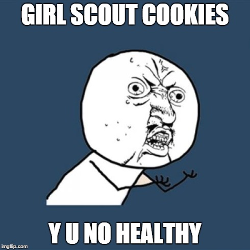 They are really just sugar | GIRL SCOUT COOKIES Y U NO HEALTHY | image tagged in memes,y u no | made w/ Imgflip meme maker