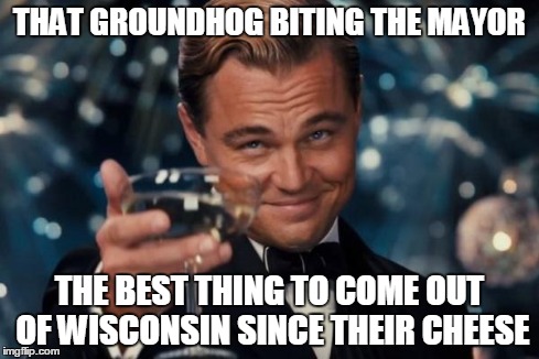 Leonardo Dicaprio Cheers Meme | THAT GROUNDHOG BITING THE MAYOR THE BEST THING TO COME OUT OF WISCONSIN SINCE THEIR CHEESE | image tagged in memes,leonardo dicaprio cheers | made w/ Imgflip meme maker