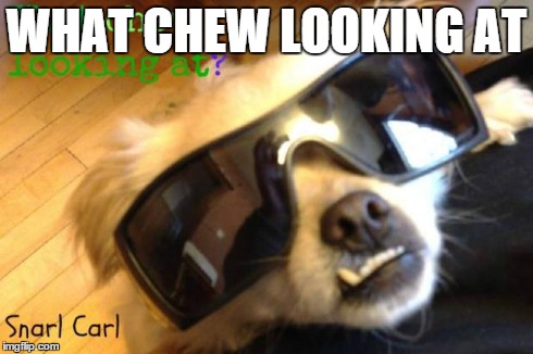 WHAT CHEW LOOKING AT | image tagged in snarl with attitude | made w/ Imgflip meme maker