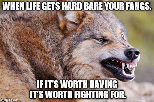 Wolf | WHEN LIFE GETS HARD BARE YOUR FANGS. IF IT'S WORTH HAVING IT'S WORTH FIGHTING FOR. | image tagged in wolf | made w/ Imgflip meme maker