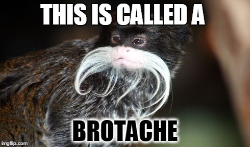 THIS IS CALLED A BROTACHE | image tagged in moustache,monkey,awesome,meme | made w/ Imgflip meme maker