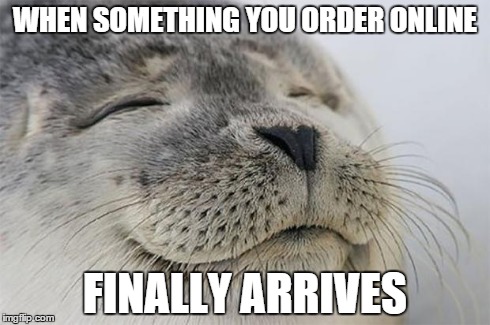 Finally!! | WHEN SOMETHING YOU ORDER ONLINE FINALLY ARRIVES | image tagged in memes,satisfied seal | made w/ Imgflip meme maker