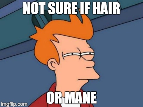 Futurama Fry Meme | NOT SURE IF HAIR OR MANE | image tagged in memes,futurama fry | made w/ Imgflip meme maker