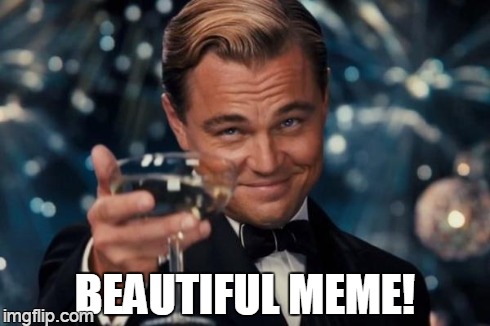 Leonardo Dicaprio Cheers Meme | BEAUTIFUL MEME! | image tagged in memes,leonardo dicaprio cheers | made w/ Imgflip meme maker