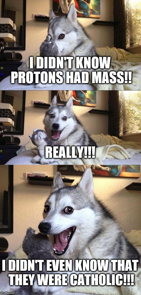 Bad Pun Dog | I DIDN'T KNOW PROTONS HAD MASS!! REALLY!!! I DIDN'T EVEN KNOW THAT THEY WERE CATHOLIC!!! | image tagged in memes,bad pun dog | made w/ Imgflip meme maker