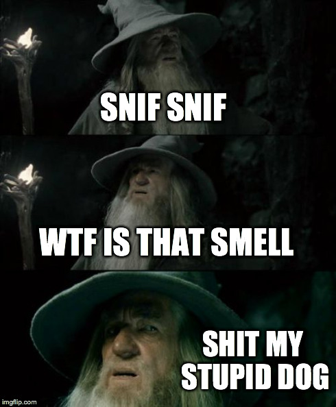 Confused Gandalf | SNIF SNIF WTF IS THAT SMELL SHIT MY STUPID DOG | image tagged in memes,confused gandalf | made w/ Imgflip meme maker