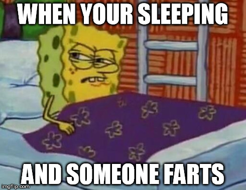 WHEN YOUR SLEEPING AND SOMEONE FARTS | image tagged in spongebob | made w/ Imgflip meme maker