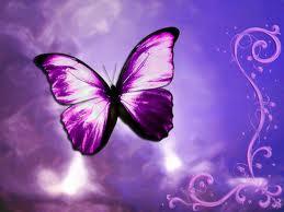 Purple Butterfly Blank Meme Template