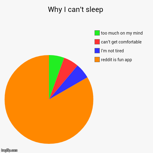 Why I can't sleep reddit is fun app I'm not tired can't get comfortable too much on my mind | image tagged in funny,pie charts,funny | made w/ Imgflip chart maker