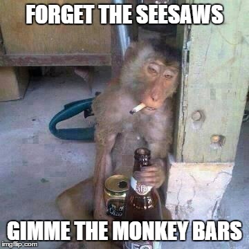 Drunken Ass monkey | FORGET THE SEESAWS GIMME THE MONKEY BARS | image tagged in drunken ass monkey | made w/ Imgflip meme maker