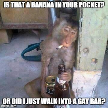 Drunken Ass monkey | IS THAT A BANANA IN YOUR POCKET? OR DID I JUST WALK INTO A GAY BAR? | image tagged in drunken ass monkey | made w/ Imgflip meme maker
