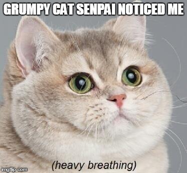 Heavy Breathing Cat | GRUMPY CAT SENPAI NOTICED ME | image tagged in memes,heavy breathing cat | made w/ Imgflip meme maker