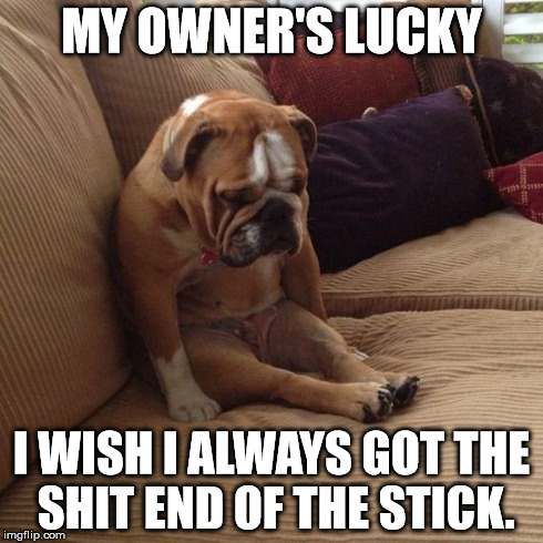 Because dogs like to eat poo... get it? | MY OWNER'S LUCKY I WISH I ALWAYS GOT THE SHIT END OF THE STICK. | image tagged in sad dog | made w/ Imgflip meme maker