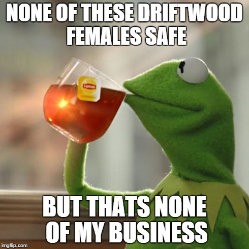 But That's None Of My Business | NONE OF THESE DRIFTWOOD FEMALES SAFE BUT THATS NONE OF MY BUSINESS | image tagged in memes,but thats none of my business,kermit the frog | made w/ Imgflip meme maker