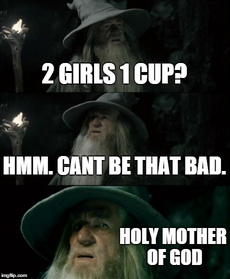 2 GIRLS 1 CUP? HMM. CANT BE THAT BAD. HOLY MOTHER OF GOD | image tagged in memes,confused gandalf | made w/ Imgflip meme maker