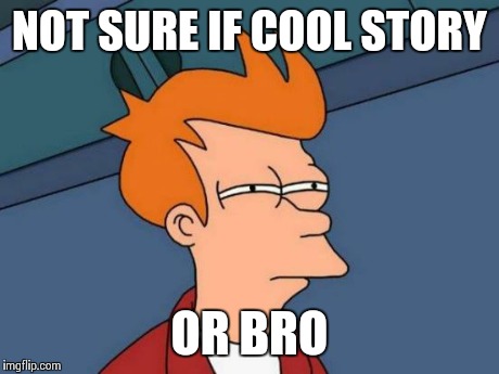Futurama Fry | NOT SURE IF COOL STORY OR BRO | image tagged in memes,futurama fry | made w/ Imgflip meme maker