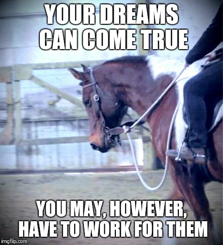 YOUR DREAMS CAN COME TRUE YOU MAY, HOWEVER, HAVE TO WORK FOR THEM | image tagged in dreams,horse | made w/ Imgflip meme maker