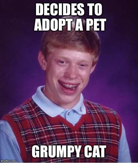 Bad Luck Brian Meme | DECIDES TO ADOPT A PET GRUMPY CAT | image tagged in memes,bad luck brian | made w/ Imgflip meme maker