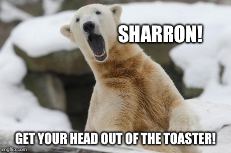 SHARRON! GET YOUR HEAD OUT OF THE TOASTER! | image tagged in stop doing that polar bear | made w/ Imgflip meme maker