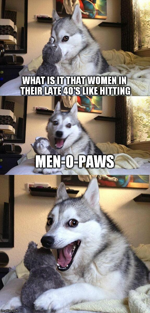Bad Pun Dog Meme | WHAT IS IT THAT WOMEN IN THEIR LATE 40'S LIKE HITTING MEN-O-PAWS | image tagged in memes,bad pun dog | made w/ Imgflip meme maker