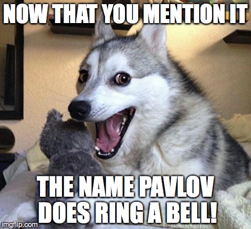 Ding, Ding, Ding! | NOW THAT YOU MENTION IT THE NAME PAVLOV DOES RING A BELL! | image tagged in bad pun dog,funny meme,puns | made w/ Imgflip meme maker
