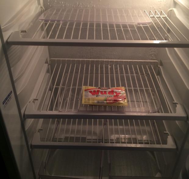 Empty fridge Blank Meme Template