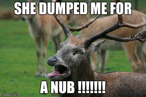 disgusted deer | SHE DUMPED ME FOR A NUB !!!!!!! | image tagged in disgusted deer,memes | made w/ Imgflip meme maker