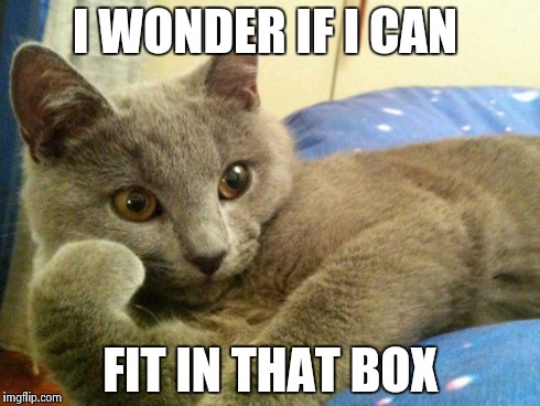 I WONDER IF I CAN FIT IN THAT BOX | image tagged in i wonder | made w/ Imgflip meme maker