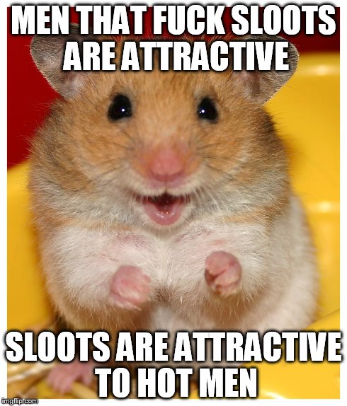 MEN THAT F**K SLOOTS ARE ATTRACTIVE SLOOTS ARE ATTRACTIVE TO HOT MEN | made w/ Imgflip meme maker