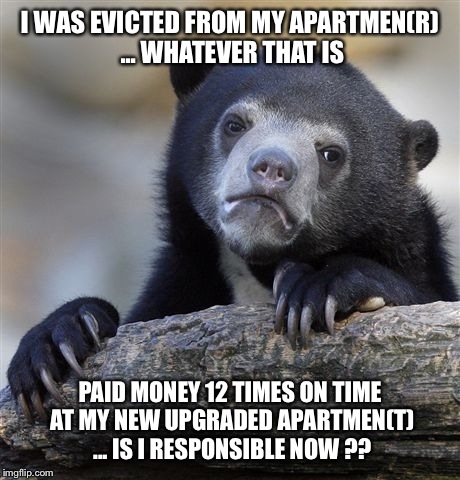 Confession Bear Meme | I WAS EVICTED FROM MY APARTMEN(R) ... WHATEVER THAT IS PAID MONEY 12 TIMES ON TIME AT MY NEW UPGRADED APARTMEN(T) ... IS I RESPONSIBLE NOW ? | image tagged in memes,confession bear | made w/ Imgflip meme maker