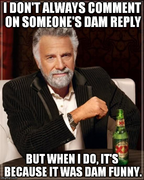 The Most Interesting Man In The World Meme | I DON'T ALWAYS COMMENT ON SOMEONE'S DAM REPLY BUT WHEN I DO, IT'S BECAUSE IT WAS DAM FUNNY. | image tagged in memes,the most interesting man in the world | made w/ Imgflip meme maker