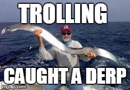 Trolling for derps | TROLLING CAUGHT A DERP | image tagged in derp,troll,catch,online trolling | made w/ Imgflip meme maker