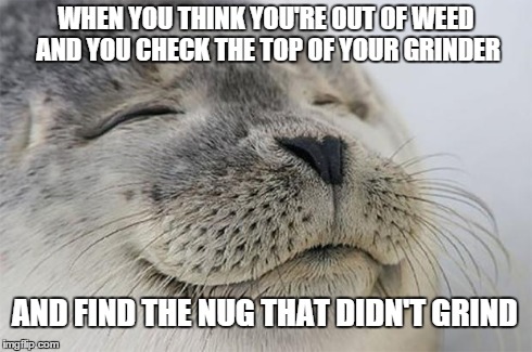 Satisfied Seal Meme | WHEN YOU THINK YOU'RE OUT OF WEED AND YOU CHECK THE TOP OF YOUR GRINDER AND FIND THE NUG THAT DIDN'T GRIND | image tagged in memes,satisfied seal,see | made w/ Imgflip meme maker
