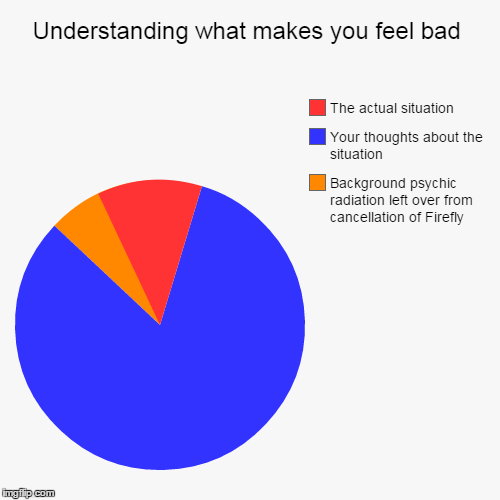 Never Forget | Understanding what makes you feel bad | Background psychic radiation left over from cancellation of Firefly, Your thoughts about the situati | image tagged in funny,pie charts,television,sci-fi,thoughts,psychology | made w/ Imgflip chart maker
