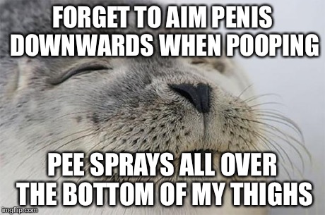 Satisfied Seal Meme | FORGET TO AIM P**IS DOWNWARDS WHEN POOPING PEE SPRAYS ALL OVER THE BOTTOM OF MY THIGHS | image tagged in memes,satisfied seal | made w/ Imgflip meme maker