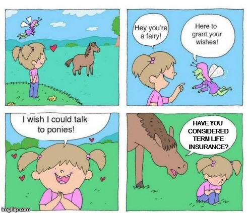 Talk to Ponies | HAVE YOU CONSIDERED TERM LIFE INSURANCE? | image tagged in talk to ponies | made w/ Imgflip meme maker