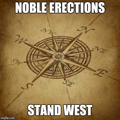 Wisdom Compass | NOBLE ERECTIONS STAND WEST | image tagged in wisdom compass | made w/ Imgflip meme maker