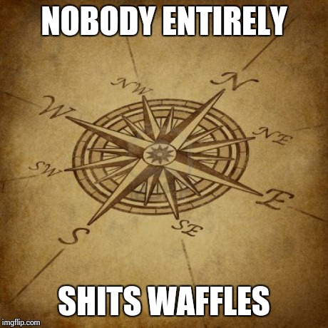Wisdom Compass | NOBODY ENTIRELY SHITS WAFFLES | image tagged in wisdom compass | made w/ Imgflip meme maker
